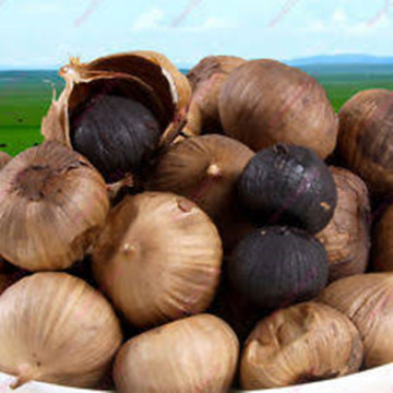 Antioxidant Black Garlic For Health Benefit