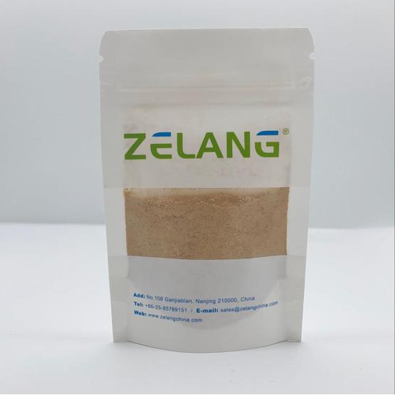 natural Lemon Balm extract powder