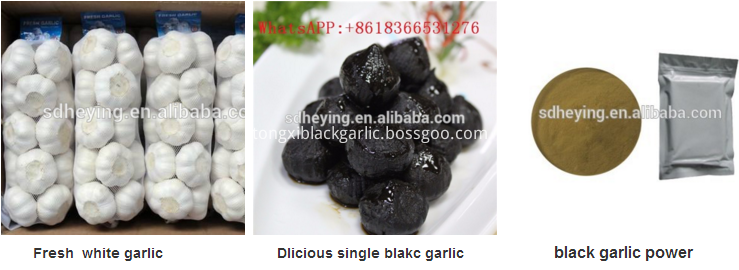 black garlic products