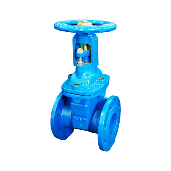 BS Resilient seated gate valve