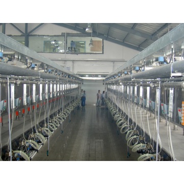 Parallel quick-release type milking hall
