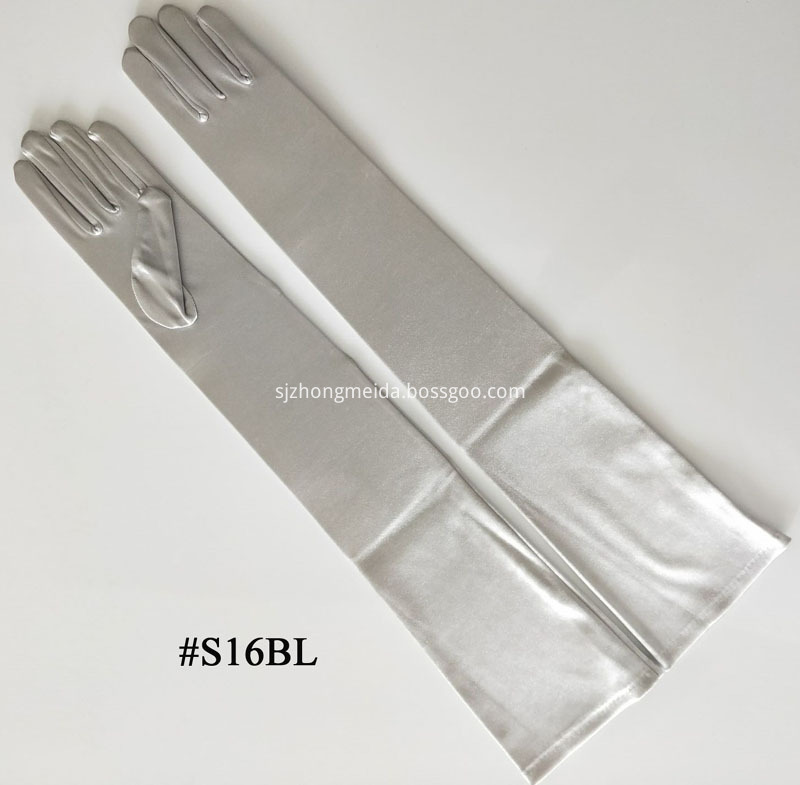 S16BL Silver