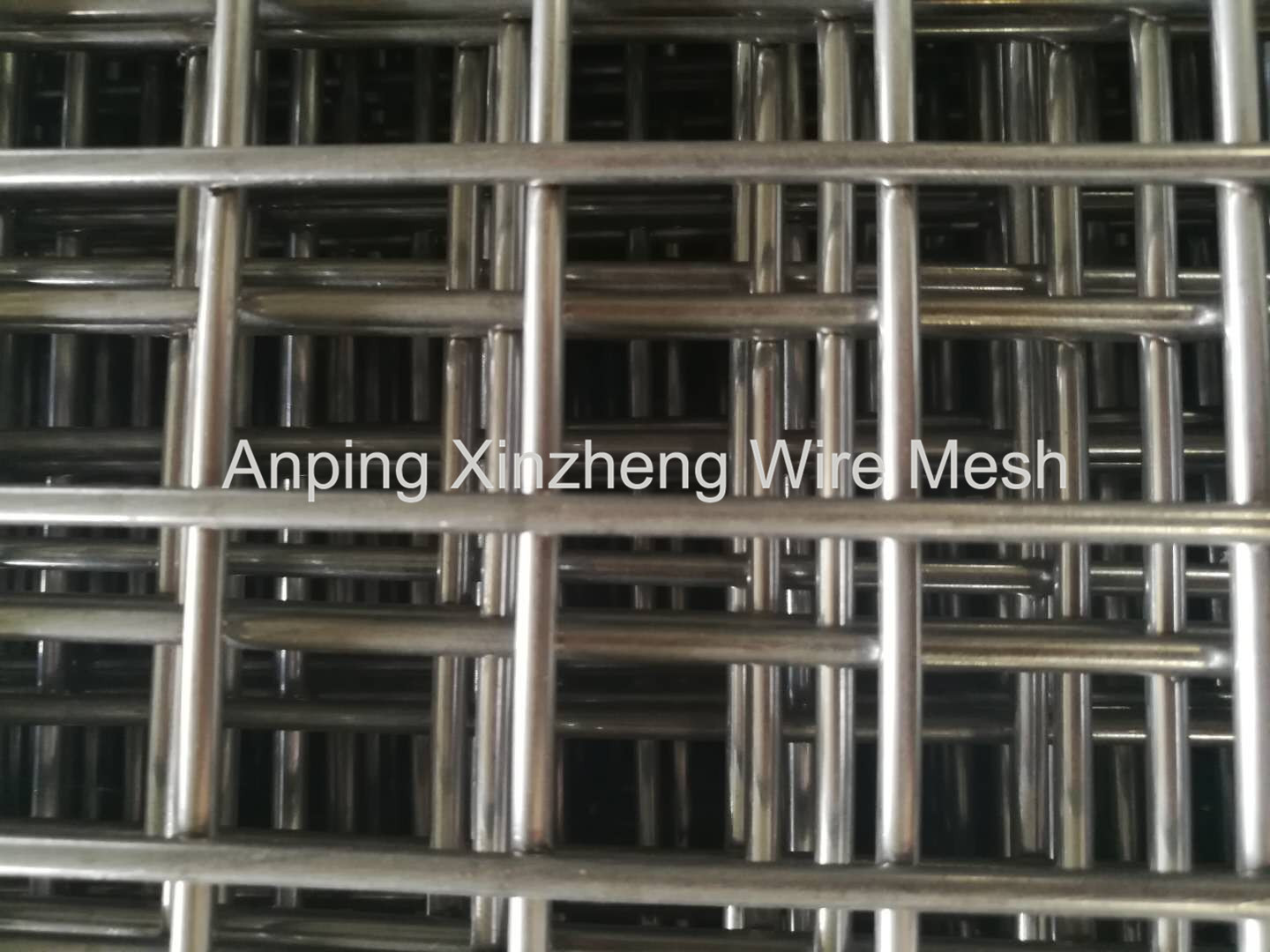 SS Welded Wire Mesh 
