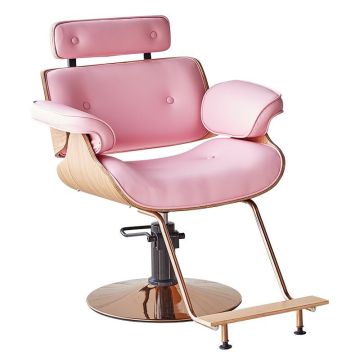 Women's Hair Salon Hydraulic Pump  Barber Chair