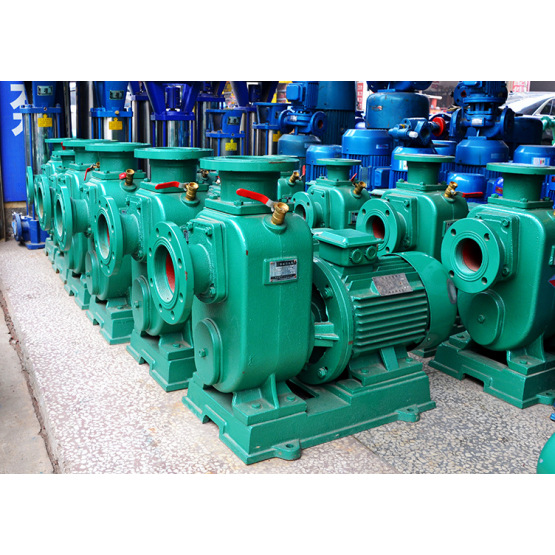 Chemical Self-Priming Pump (ZX)