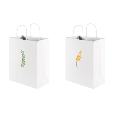 white_craft_paper_bag_Zenghui_Paper_Package_Co (1)