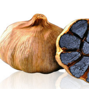 Anti-Aging Function Organic Black Garlic in the Cuisine