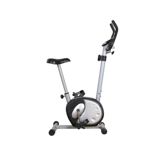 Home gym magnetic manual fitness exercise bike