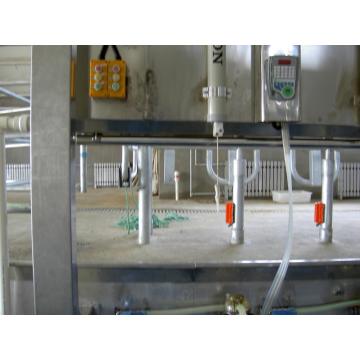 dairy cow auto milking parlors