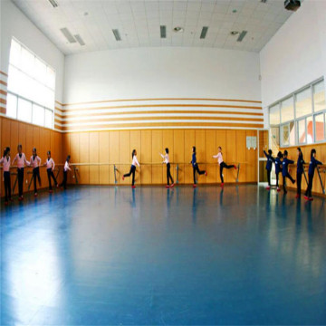 Enlio Multi-use PVC Sports Flooring Dance Room