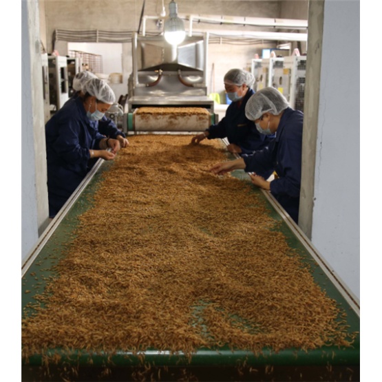 Wholesale dried Tenebrio molitor feed