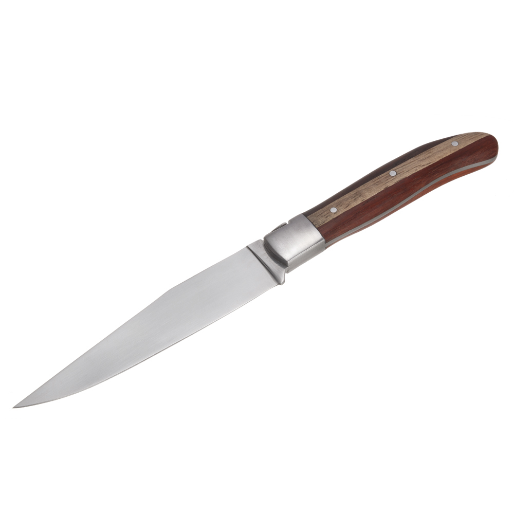 Steak Knife with Duo Color Handle
