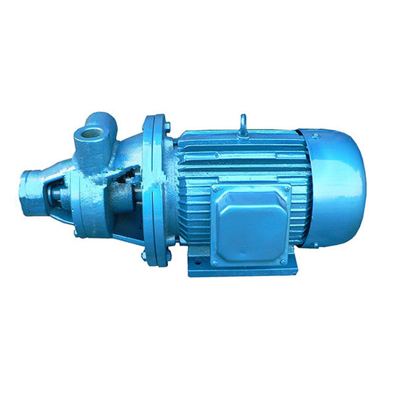 1W single stage vortex pump