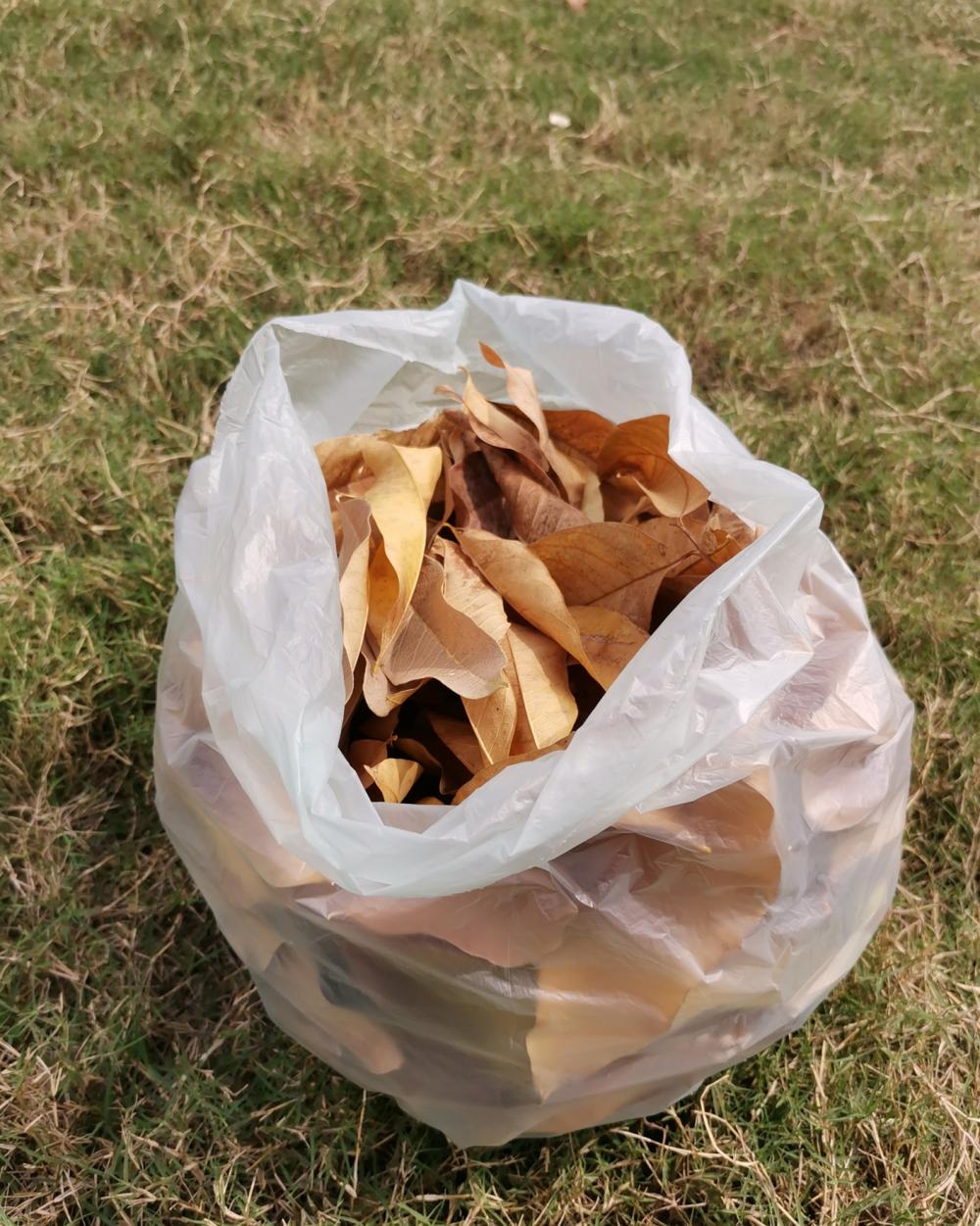 Eco Garden Yard Leaf Plastic Bags