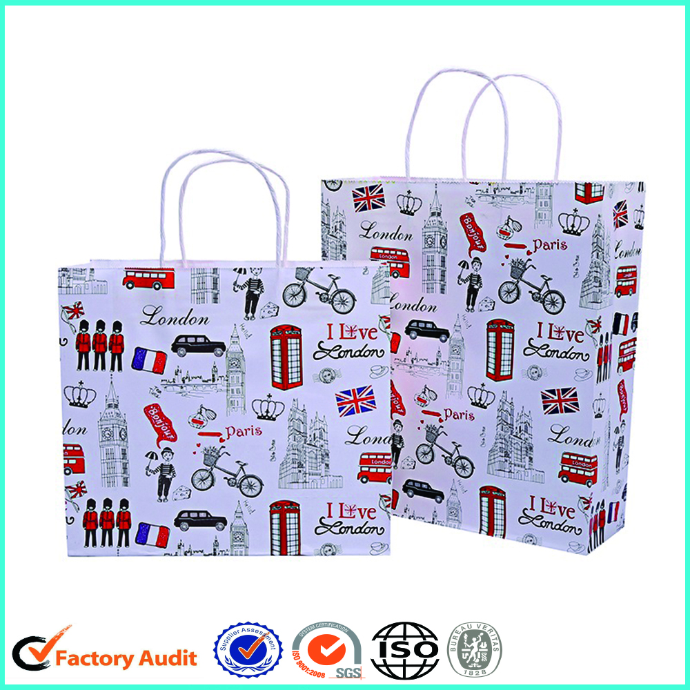 Fancy Paper Gift Bags With Handle