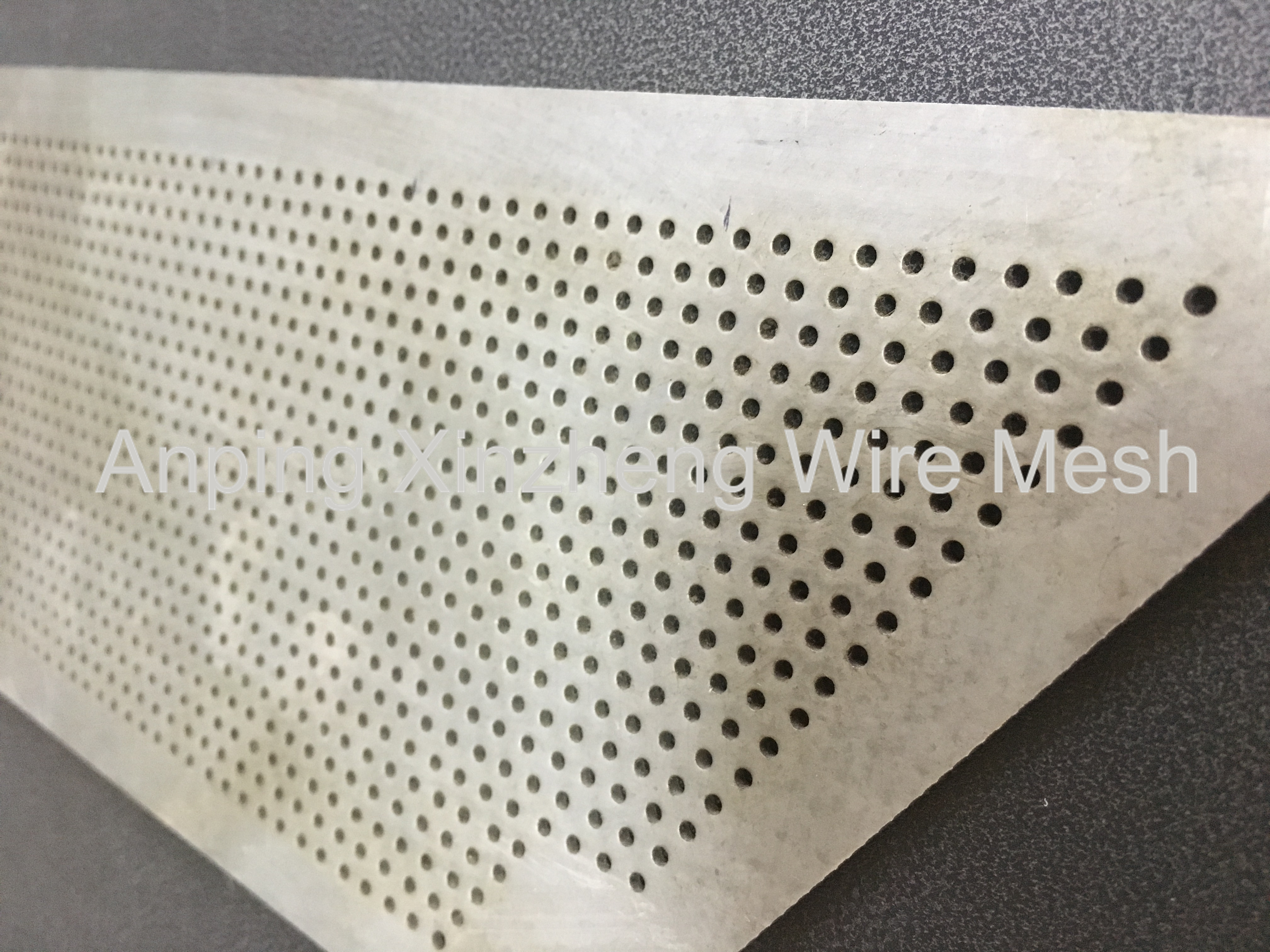 Perforated Metal Mesh SS