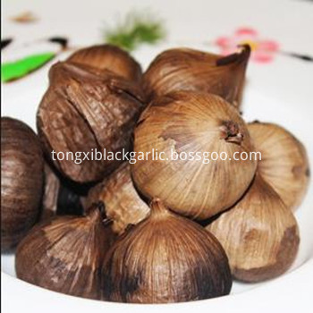 solo black garlic