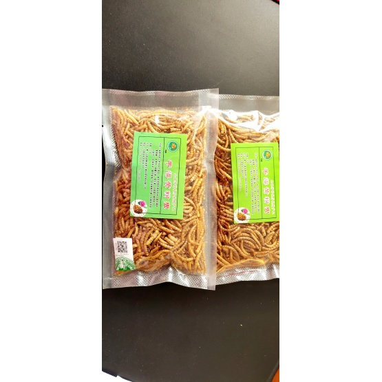 Protein-Riched Yellow Mealworms for export