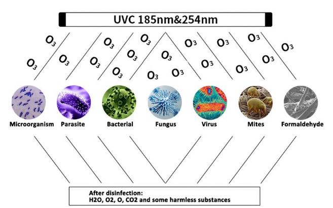 Uv Disinfection Light 00