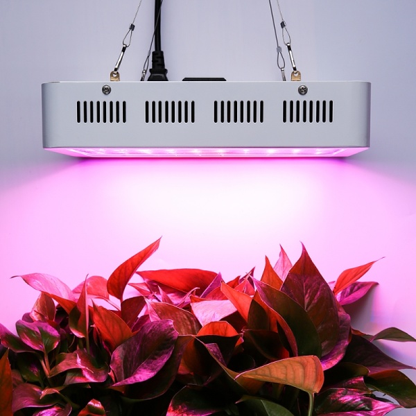 slim design 600w led grow light fixture