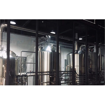Stainless Steel 304 Beverage Processing Machinery