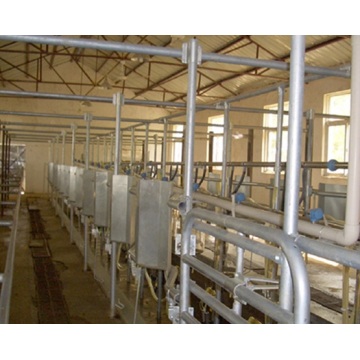 Full automatic rotating milking parlor