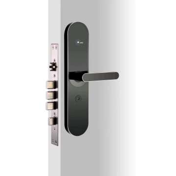 EVDAL0166-A6  smart cloud lock