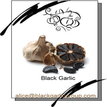 Enhance immune function of black garlic