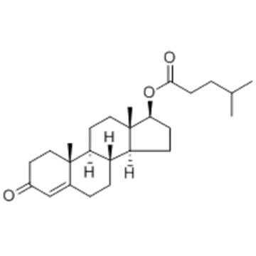 Testosterone isocaproate CAS 15262-86-9