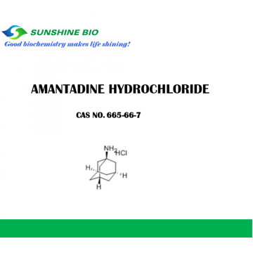 AMANTADINE HYDROCHLORIDE CAS NO 665-66-7