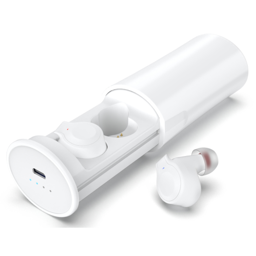 True Wireless Earbuds Bluetooth 5.0