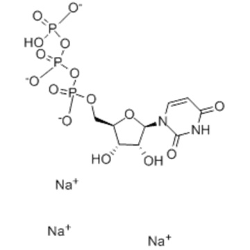 Uridine-5'-triphosphoric acid trisodium salt  CAS 19817-92-6