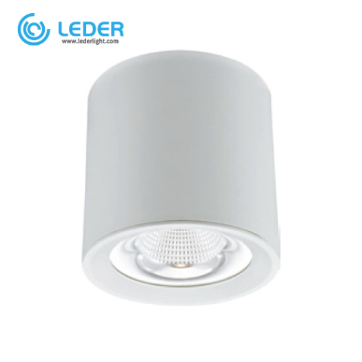 LEDER High Quality Powerful 45W LED Downlight