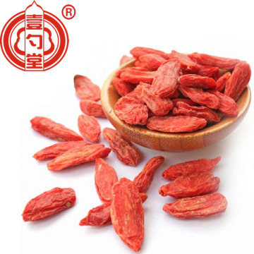 Dried Berries Thick Red Goji Berry Fruit