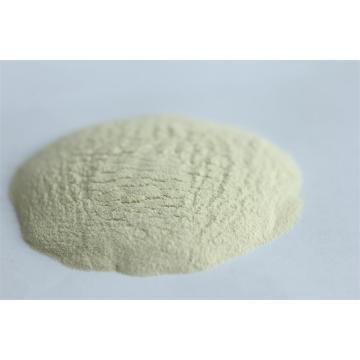 High quality  lipase for food industry