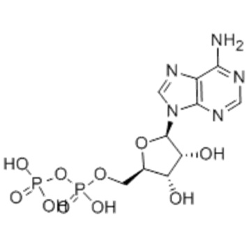 Adenosine5'-(trihydrogen diphosphate) CAS 58-64-0