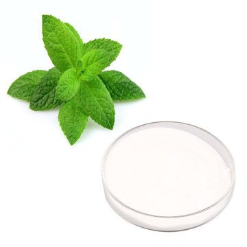 Water Soluble sweet leaf stevia powder