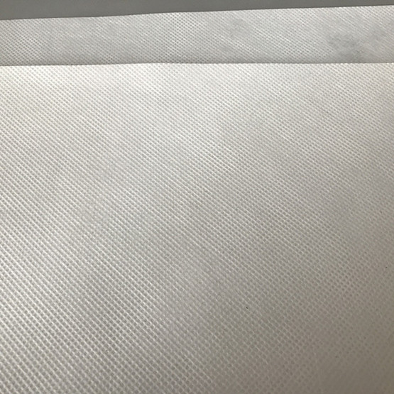 PP Spun Bond Non Woven Fabric