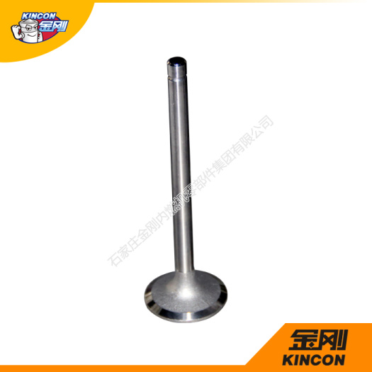 Engine Valves  WD615E3