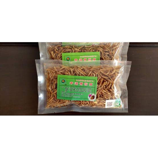 pets feed of yellow mealworm