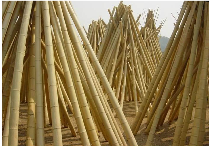 Proto-ecological Bamboo Pole