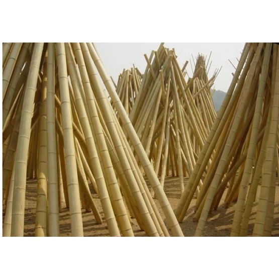 Environmental protection bamboo pole