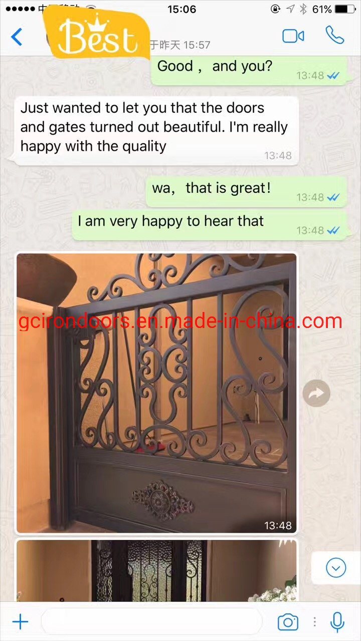 Ornamental Elegant Iron Fence Gate