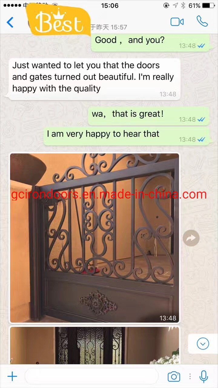 Decorative Wrought Iron Fence for Garden, Private House