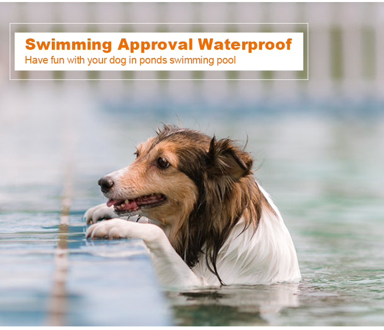 AT-211D Waterproof Dog Training Collar