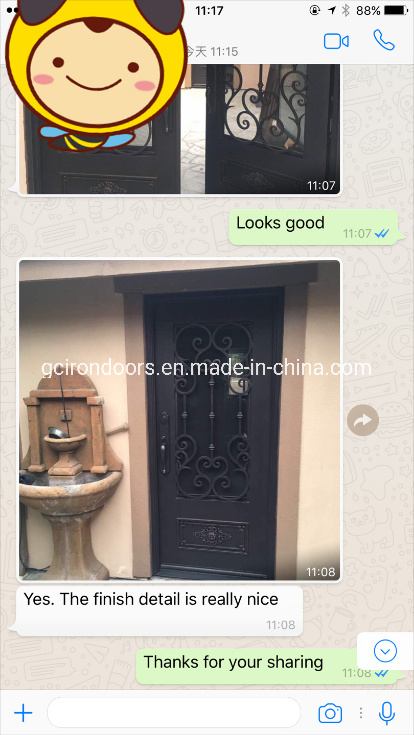 Exterior Wrought Iron Entry Doors with Tempered Glass