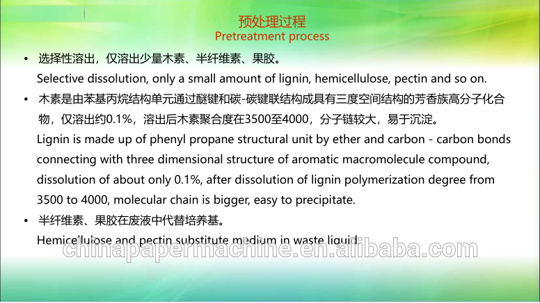 Straw Pulp Making Machinery