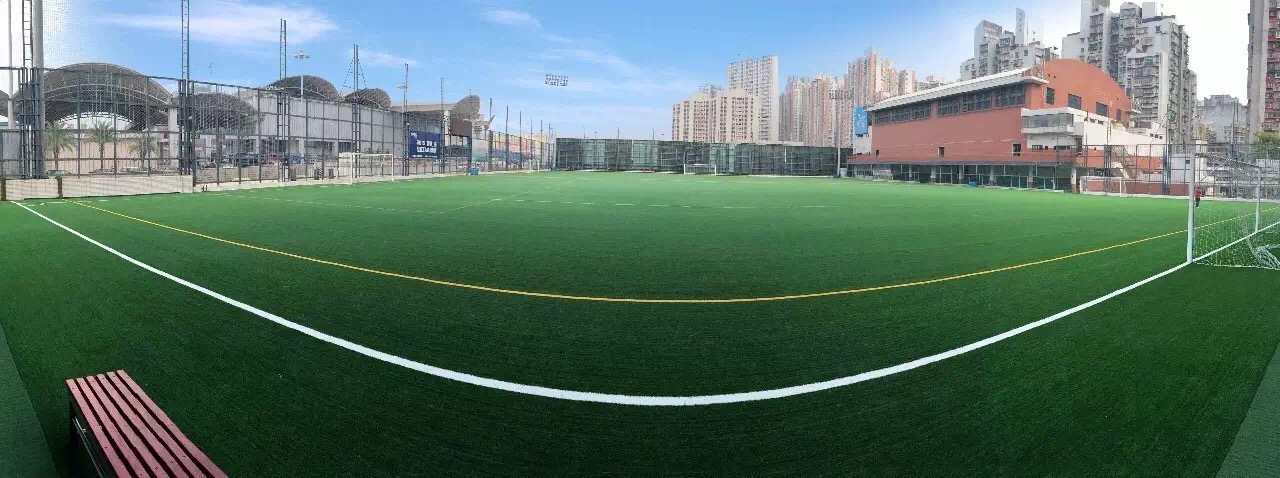 Courts Synthetic Soccer Grass