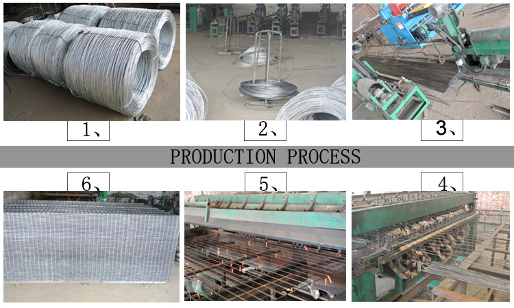 PVC coated hot dipped galvanized welded wire mesh