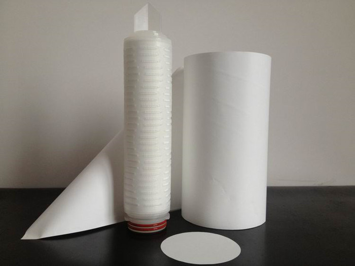 Membrane Filter Buffer 0.2um 0.45 Micron Pes Filter Cartridge for Blood Serum and Biologicals